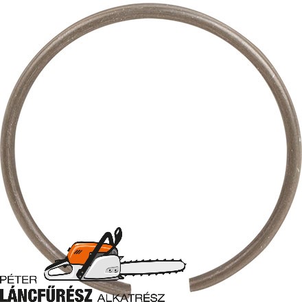 Ringfeder passend zu 00768950
