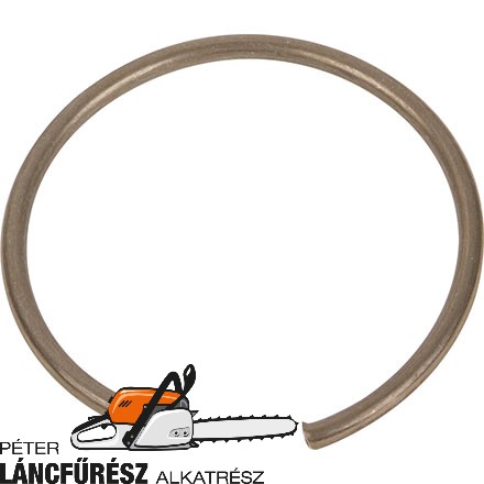 Ringfeder passend zu 007689510