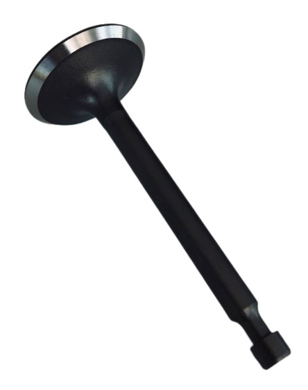 Zongshen XP200 szívószelep