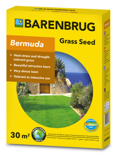 Barenburg Bermuda csillagpázsit No.1 - megoldás száraz, forró időjárás esetén is